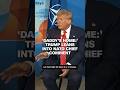 'Daddy's home:' Trump leans into NATO chief comment