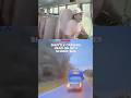 Shuttle crashes head-on into school bus