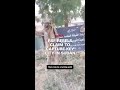 RSF rebels claim to capture key city in Sudan