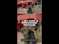 Videos show raid of underground nightclub where over 100 immigrants were detained