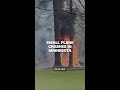 Video shows aftermath of small plane crash in Minnesota