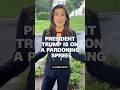 President Trump is on a pardoning spree