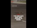 Two men reunite baby bird with its mother