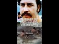 Billionaire heir wants to save Pablo Escobar’s ‘cocaine hippos'