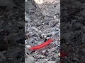 Drone video captures day 5 after Venezuela twin quakes