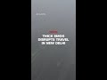 Thick smog disrupts travel in New Delhi